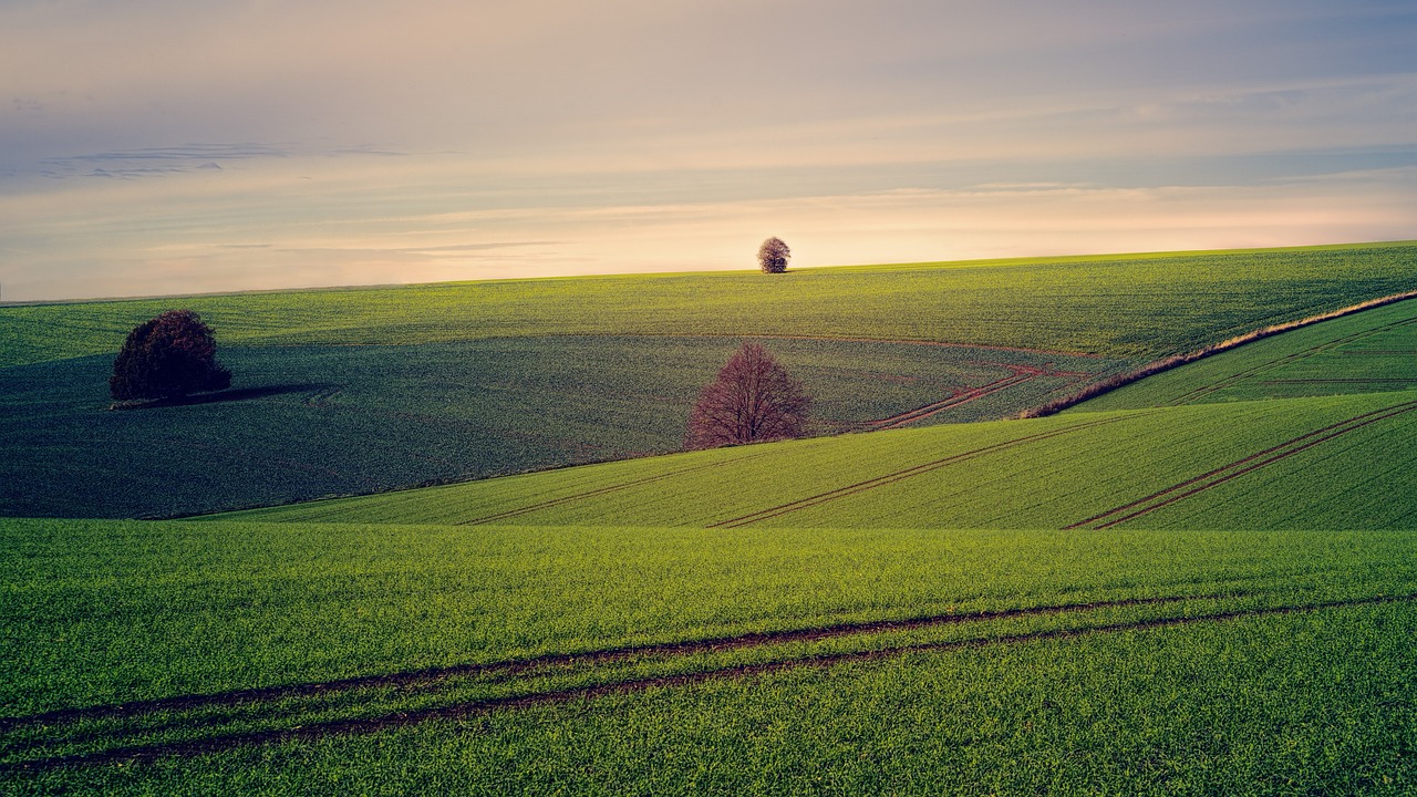 land, outdoors, meadow, field, hill, landscape, nature, rural, grass, land, land, land, land, land